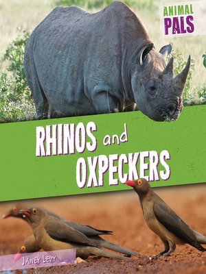 cover image of Rhinos and Oxpeckers